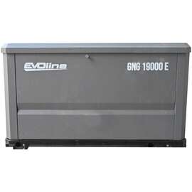 EVOline  GNG 19000 E Газовый генератор